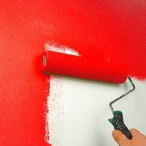 Wall & Ceiling Paint