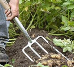 Garden Tools