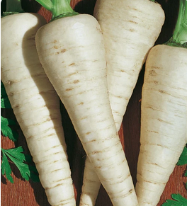 PARSNIP Hollow Crown