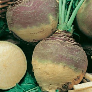SWEDE Best of All