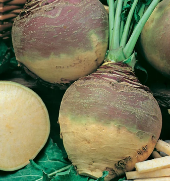 SWEDE Best of All